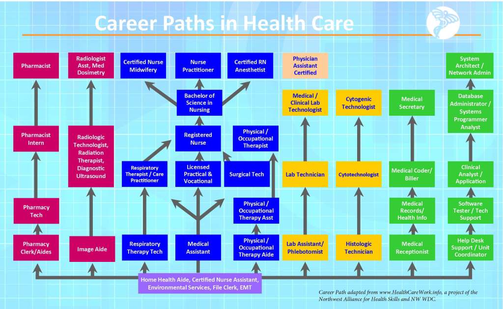 Career Paths in Health Care –&nbsp;2025